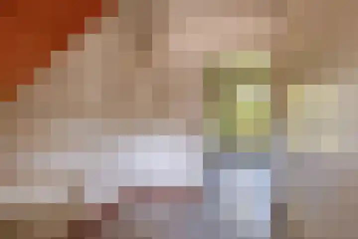 Russchenreed 71 Wijnjewoude thumbnail 7