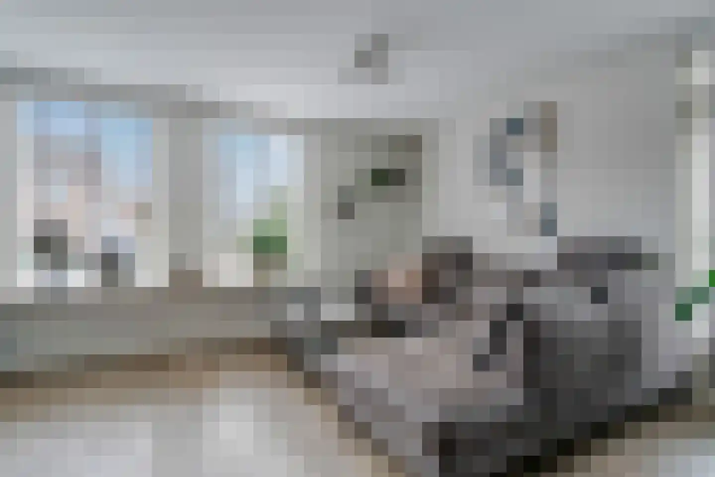 Russchersland 13 Staphorst thumbnail 17
