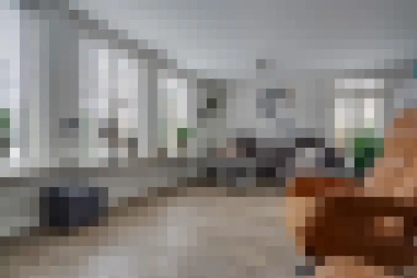 Russchersland 13 Staphorst thumbnail 18