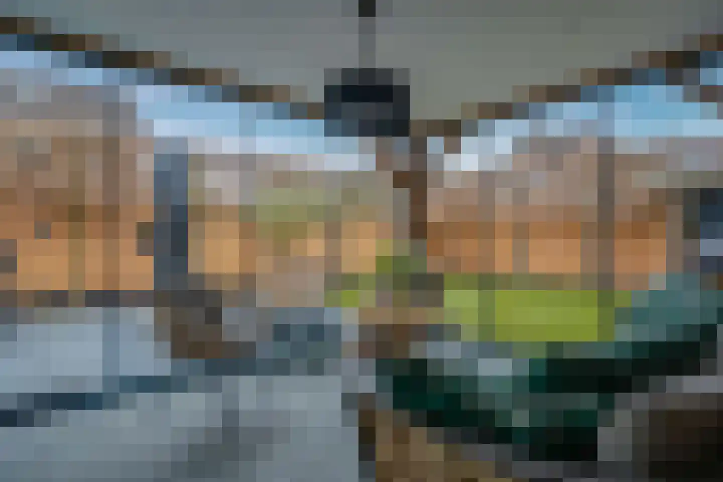 Russchersland 13 Staphorst thumbnail 21