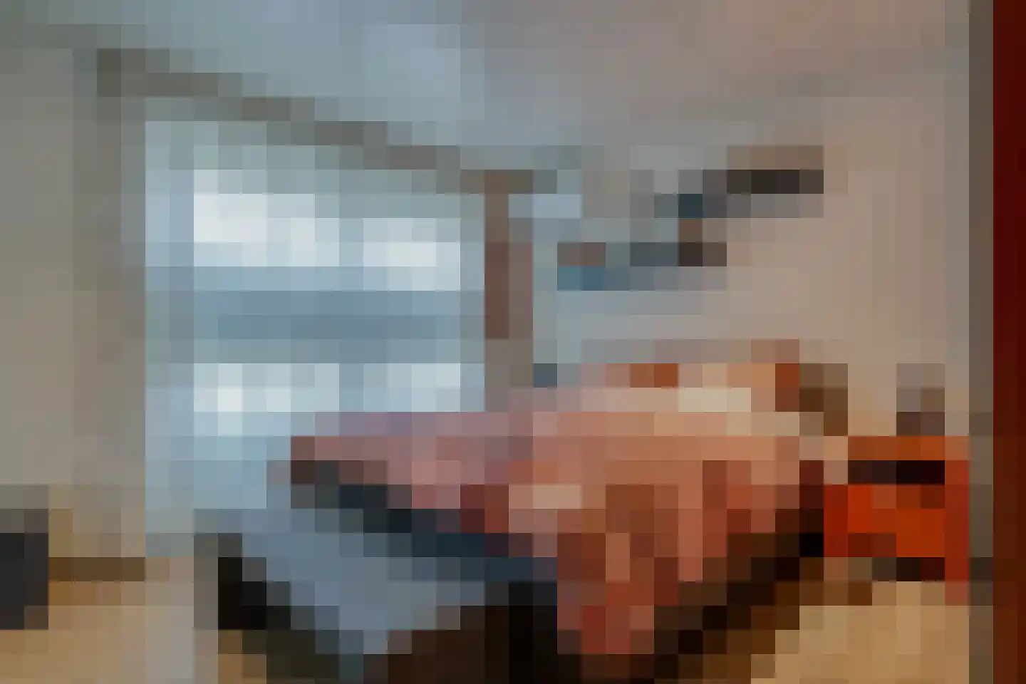 Russchersland 13 Staphorst thumbnail 22
