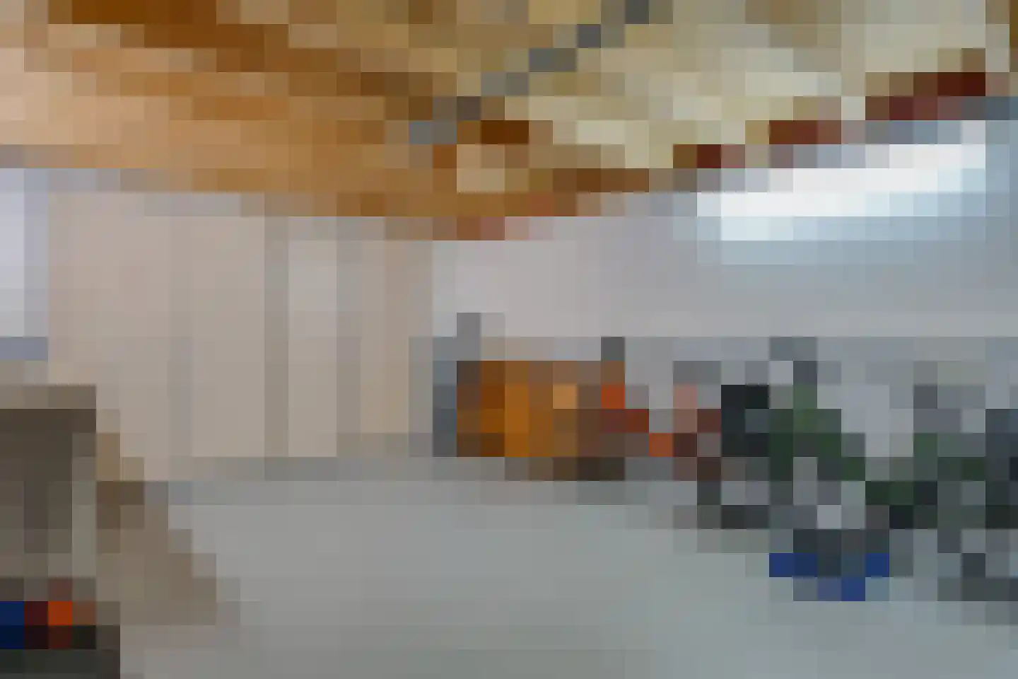 Russchersland 13 Staphorst thumbnail 37