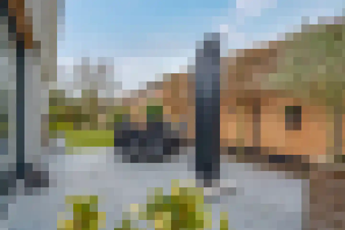 Russchersland 13 Staphorst thumbnail 42