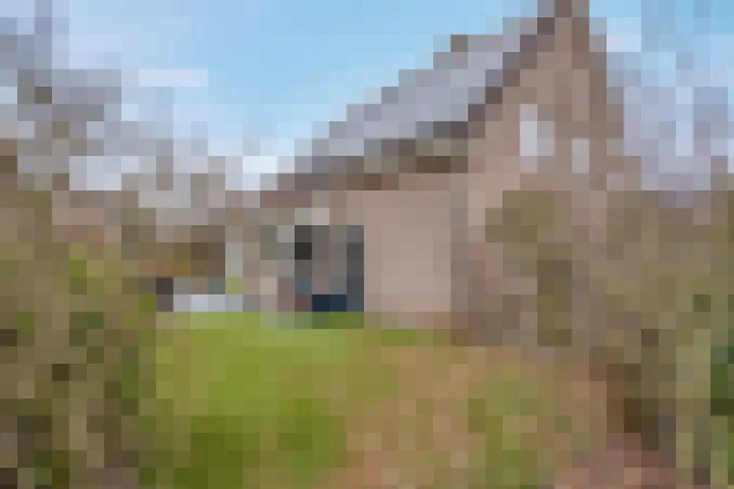 Russchersland 13 Staphorst thumbnail 46