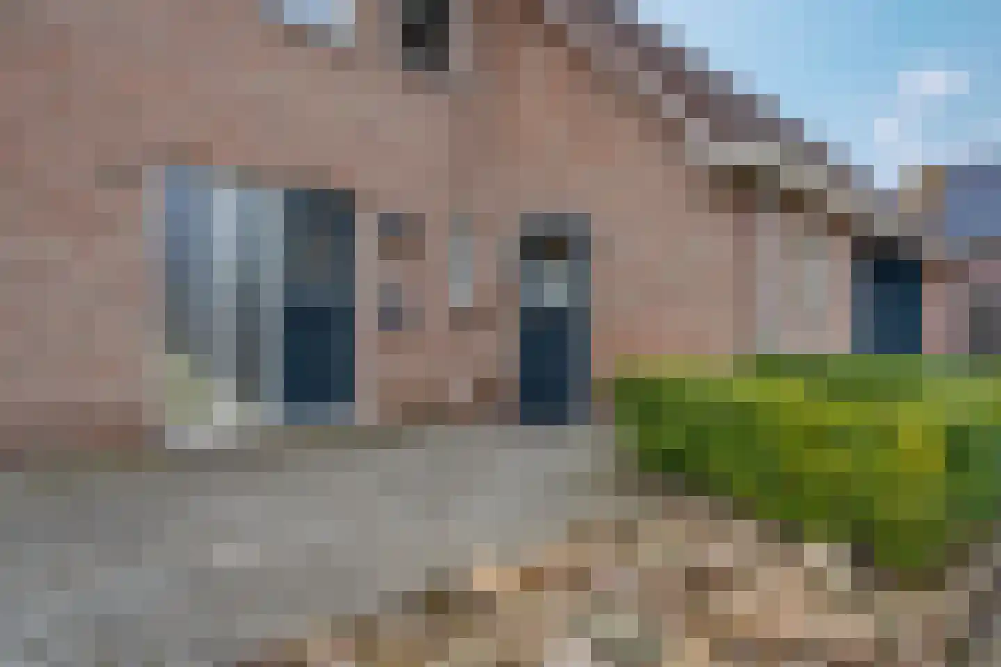 Russchersland 13 Staphorst thumbnail 49