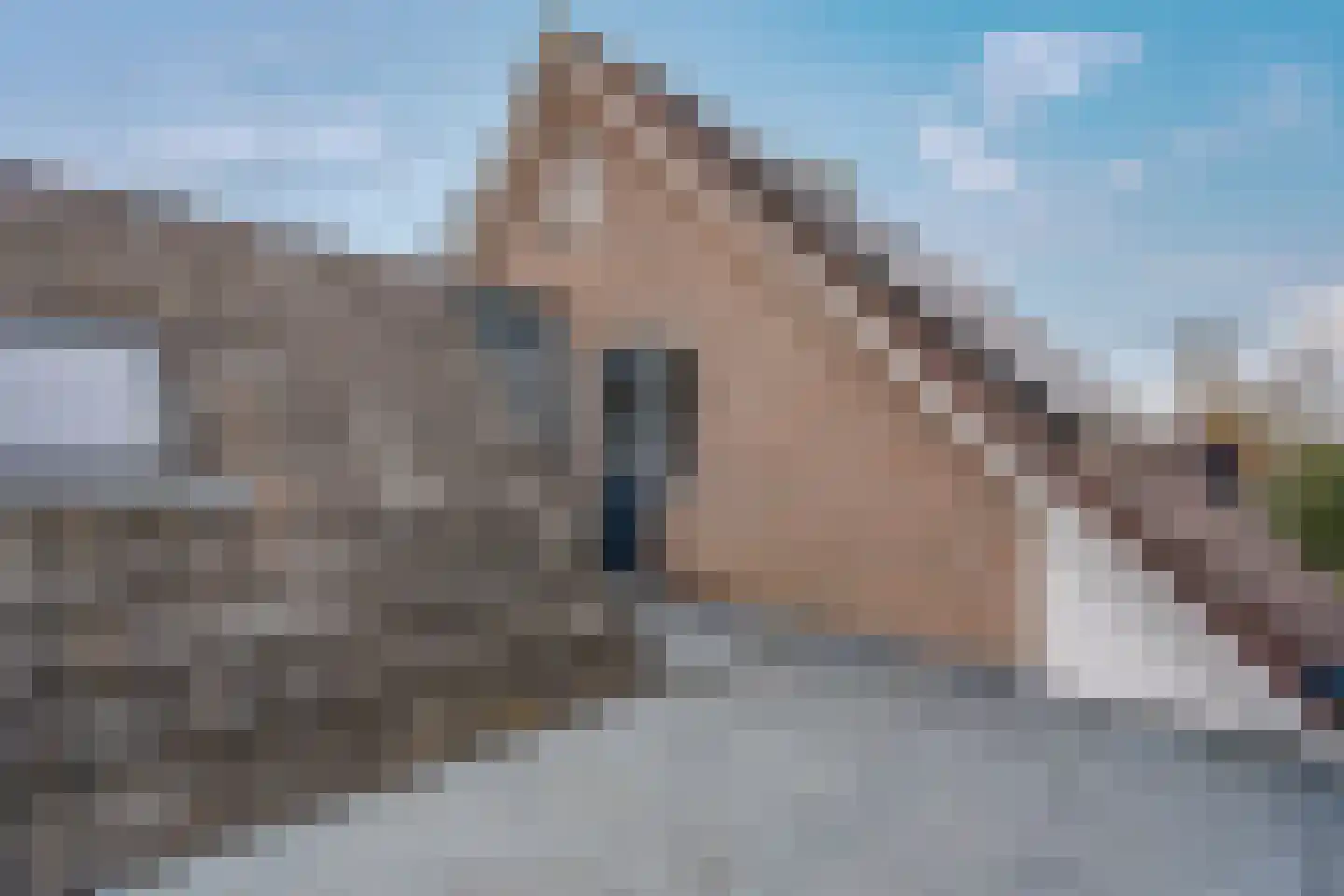Russchersland 13 Staphorst thumbnail 62
