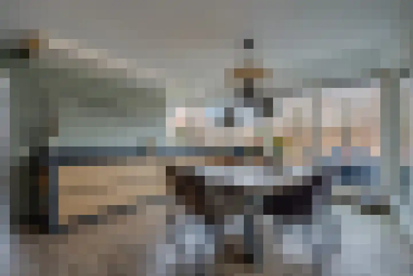 Russchersland 13 Staphorst thumbnail 8
