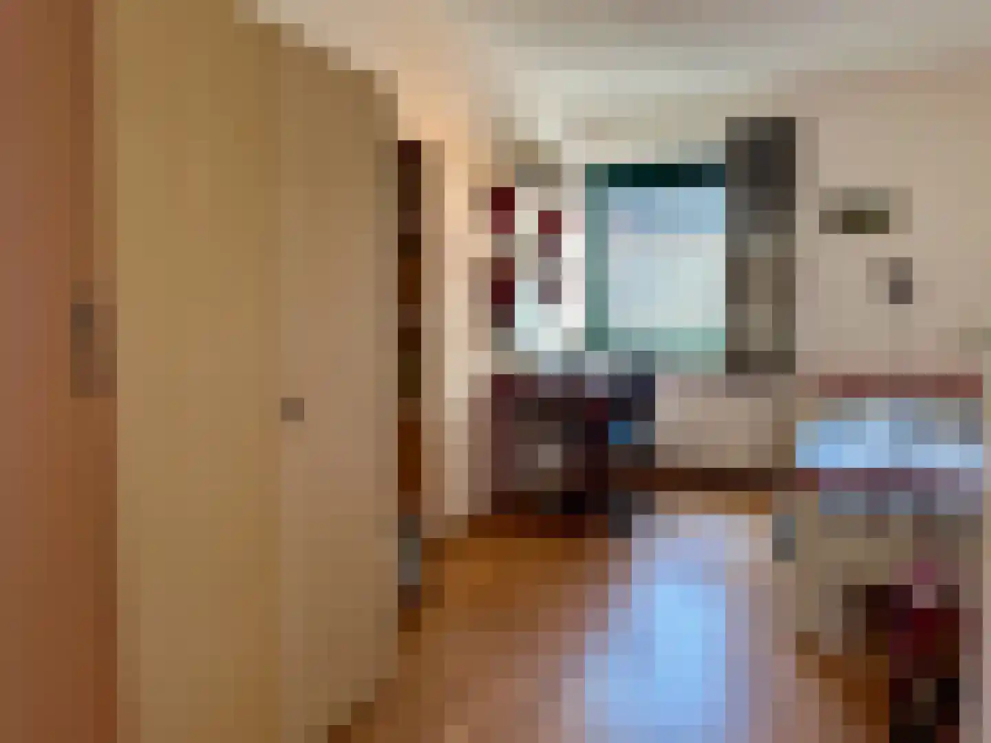 Russchevlietstraat 15 Schoondijke thumbnail 10