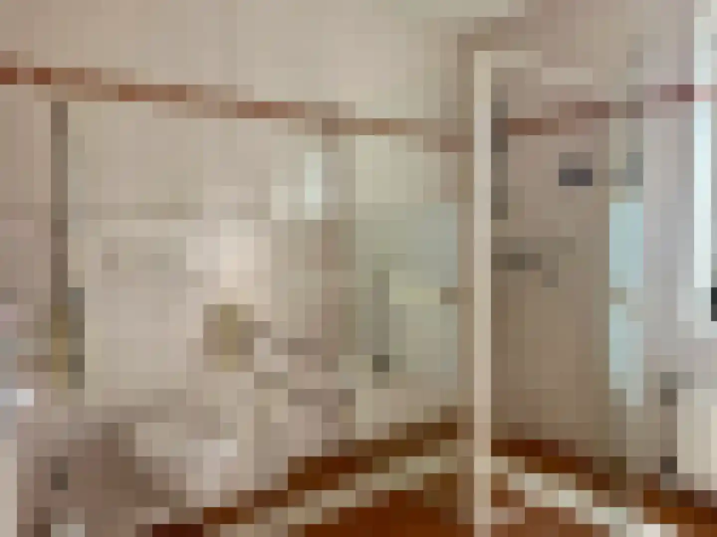Russchevlietstraat 15 Schoondijke thumbnail 11