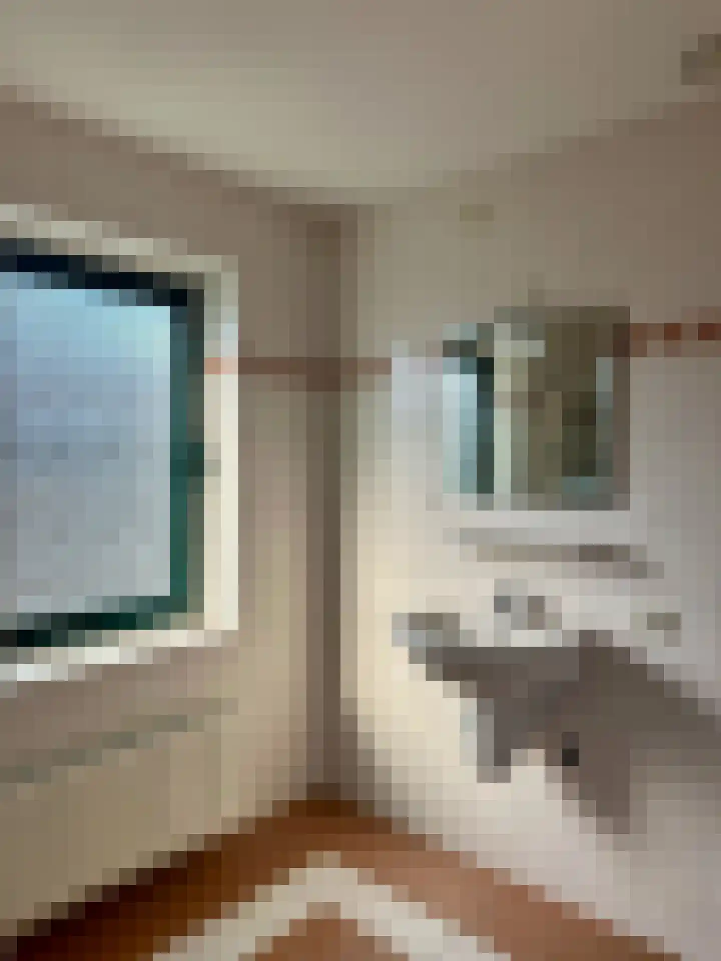 Russchevlietstraat 15 Schoondijke thumbnail 12