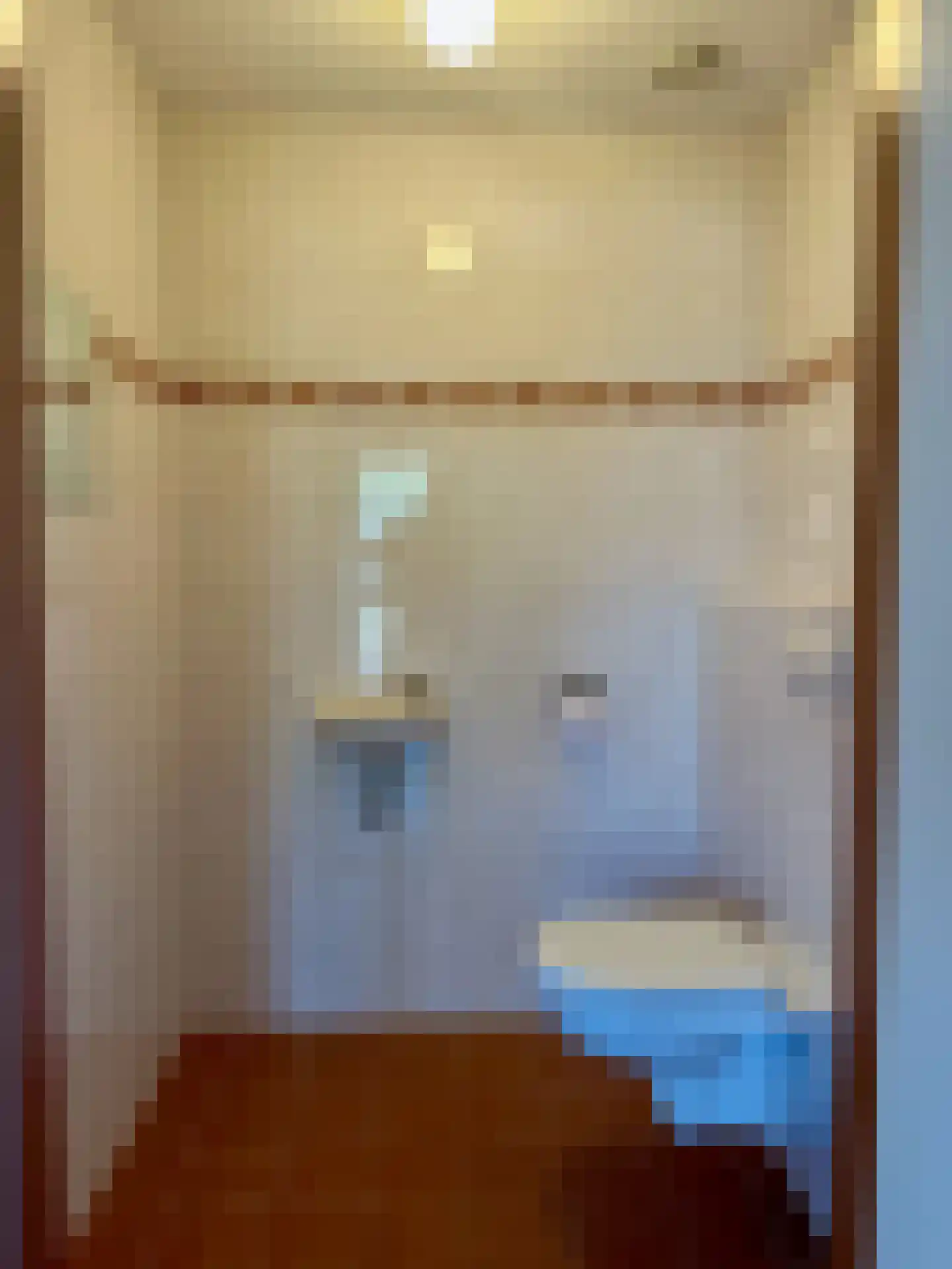 Russchevlietstraat 15 Schoondijke thumbnail 13