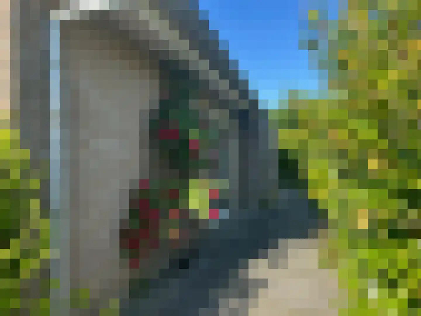 Russchevlietstraat 15 Schoondijke thumbnail 17