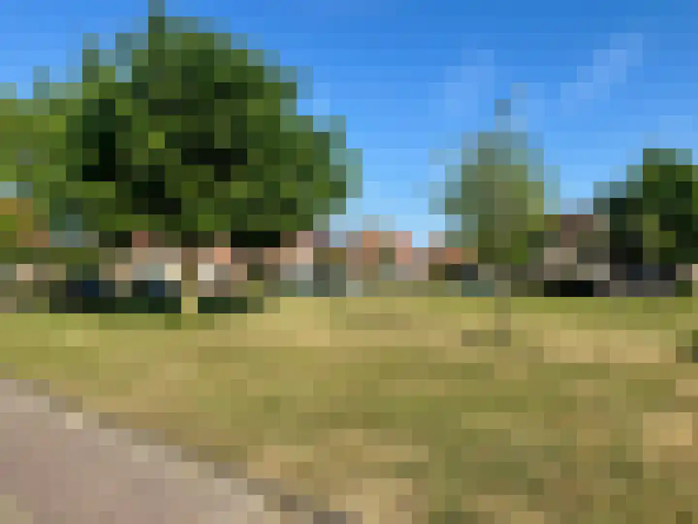 Russchevlietstraat 15 Schoondijke thumbnail 18