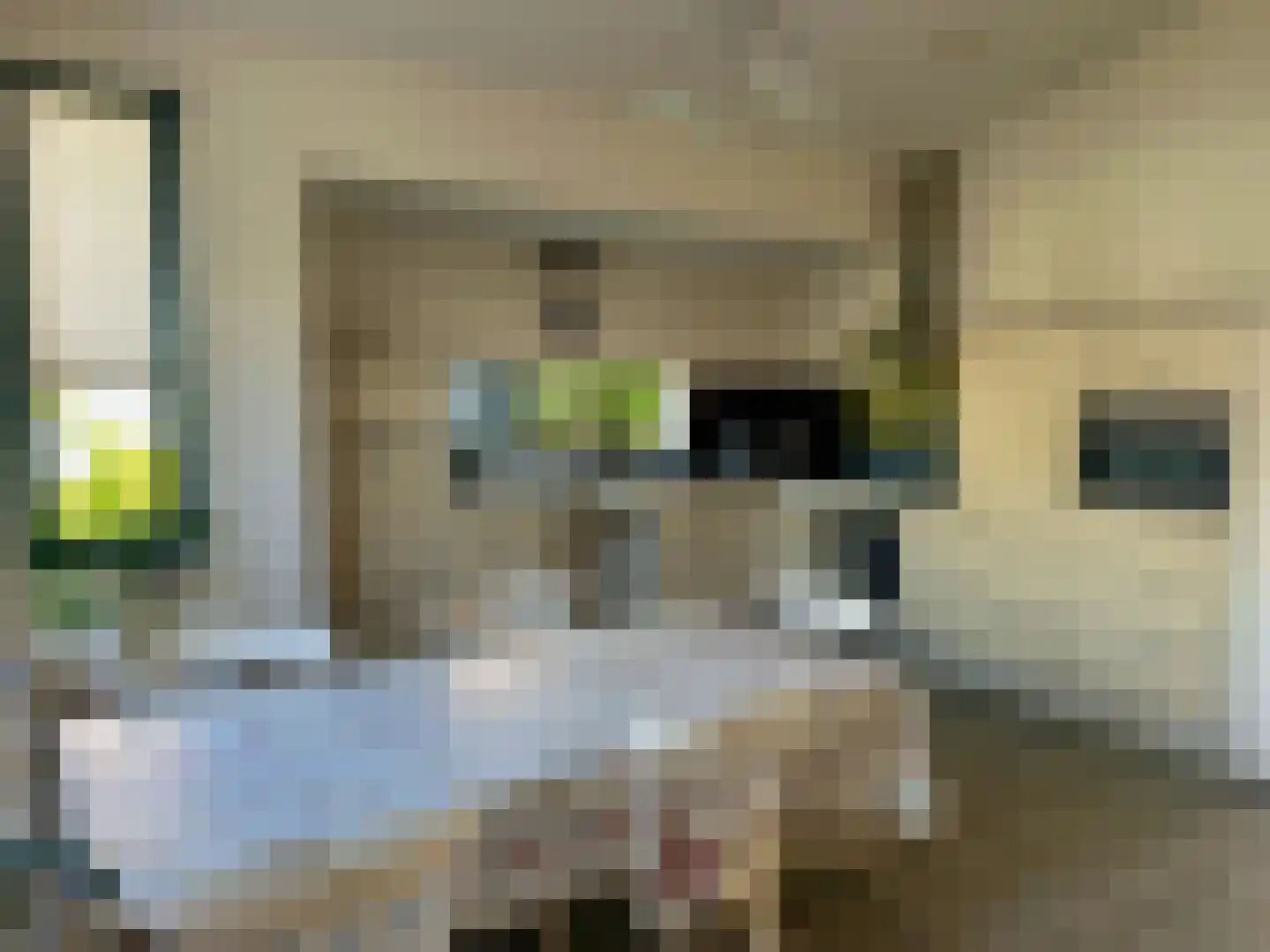Russchevlietstraat 15 Schoondijke thumbnail 5
