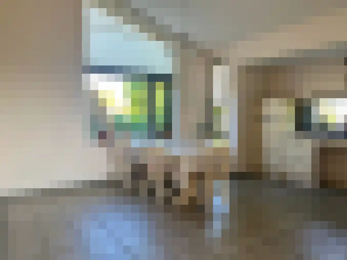 Russchevlietstraat 15 Schoondijke thumbnail 6