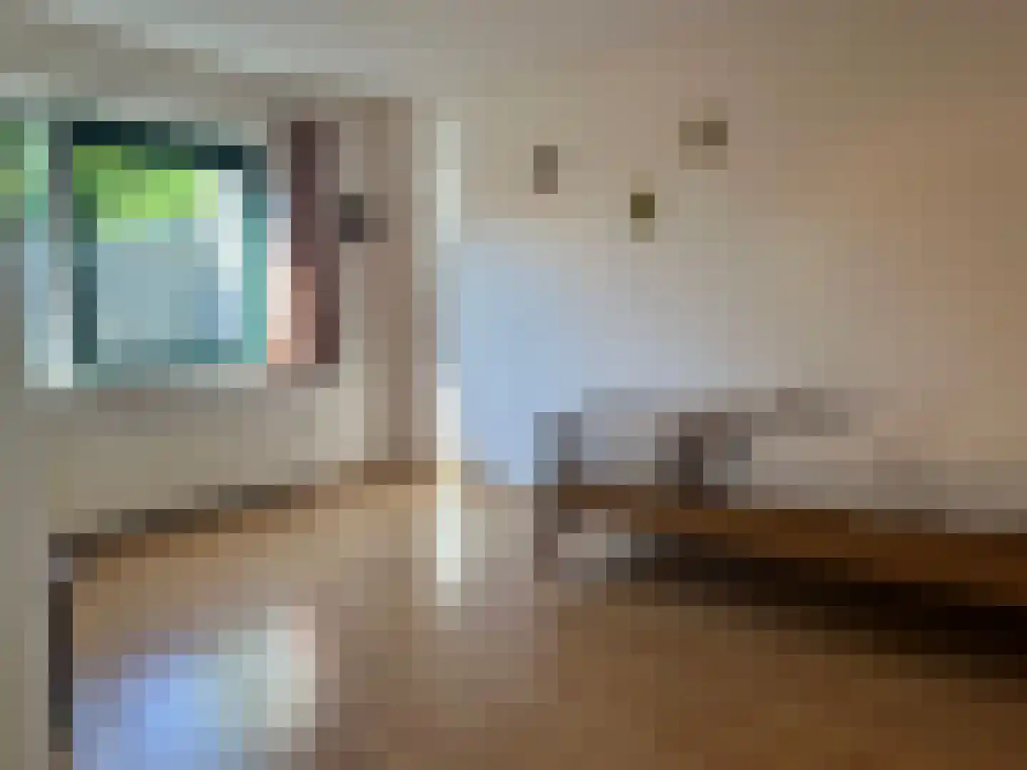 Russchevlietstraat 15 Schoondijke thumbnail 9