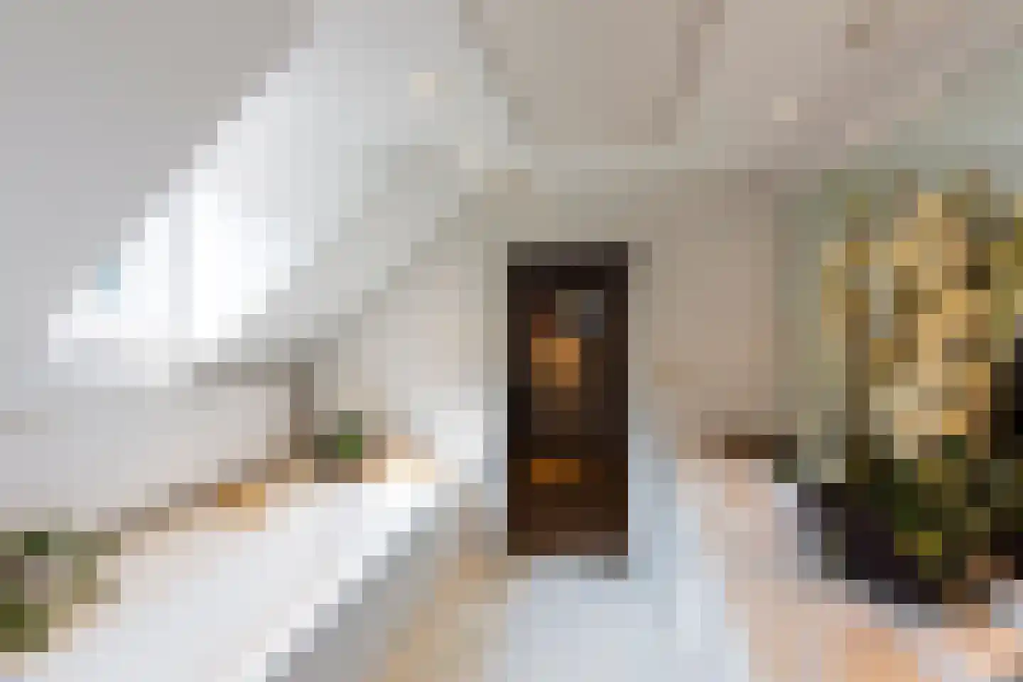 Russendaalweg 20 Langenboom thumbnail 15