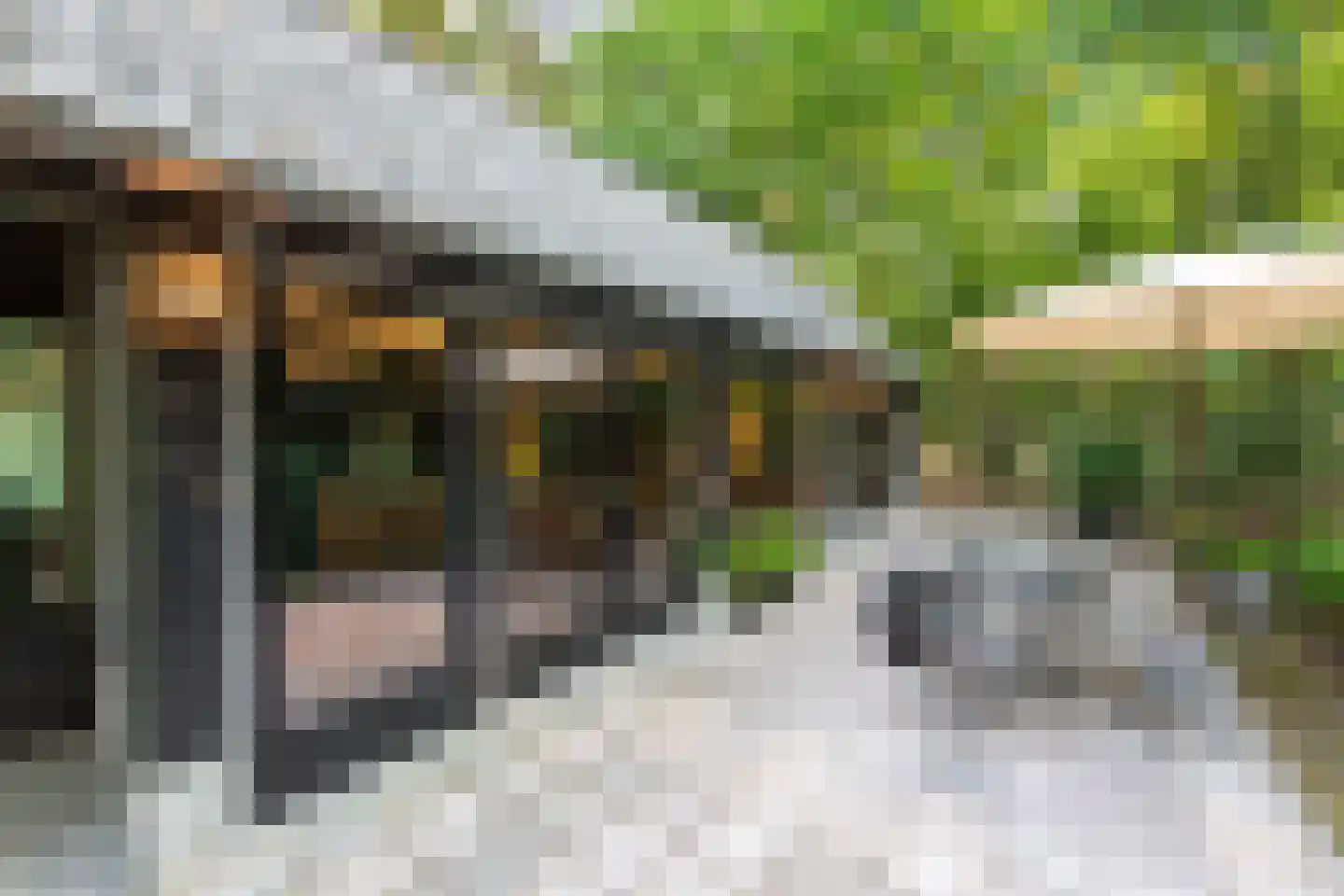 Russendaalweg 20 Langenboom thumbnail 16