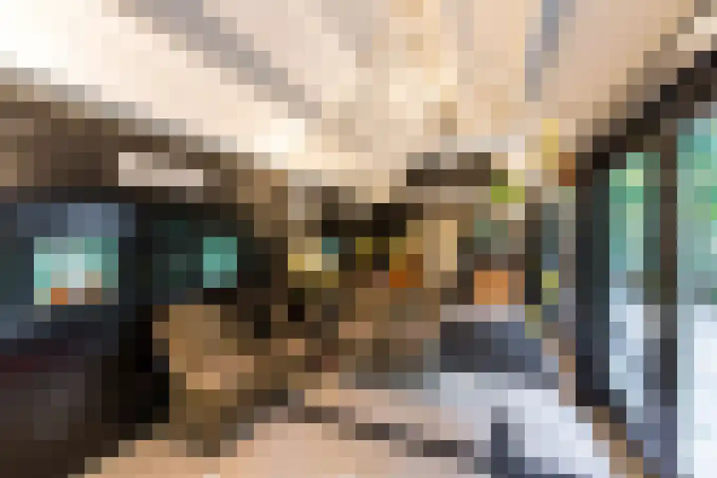 Russendaalweg 20 Langenboom thumbnail 17
