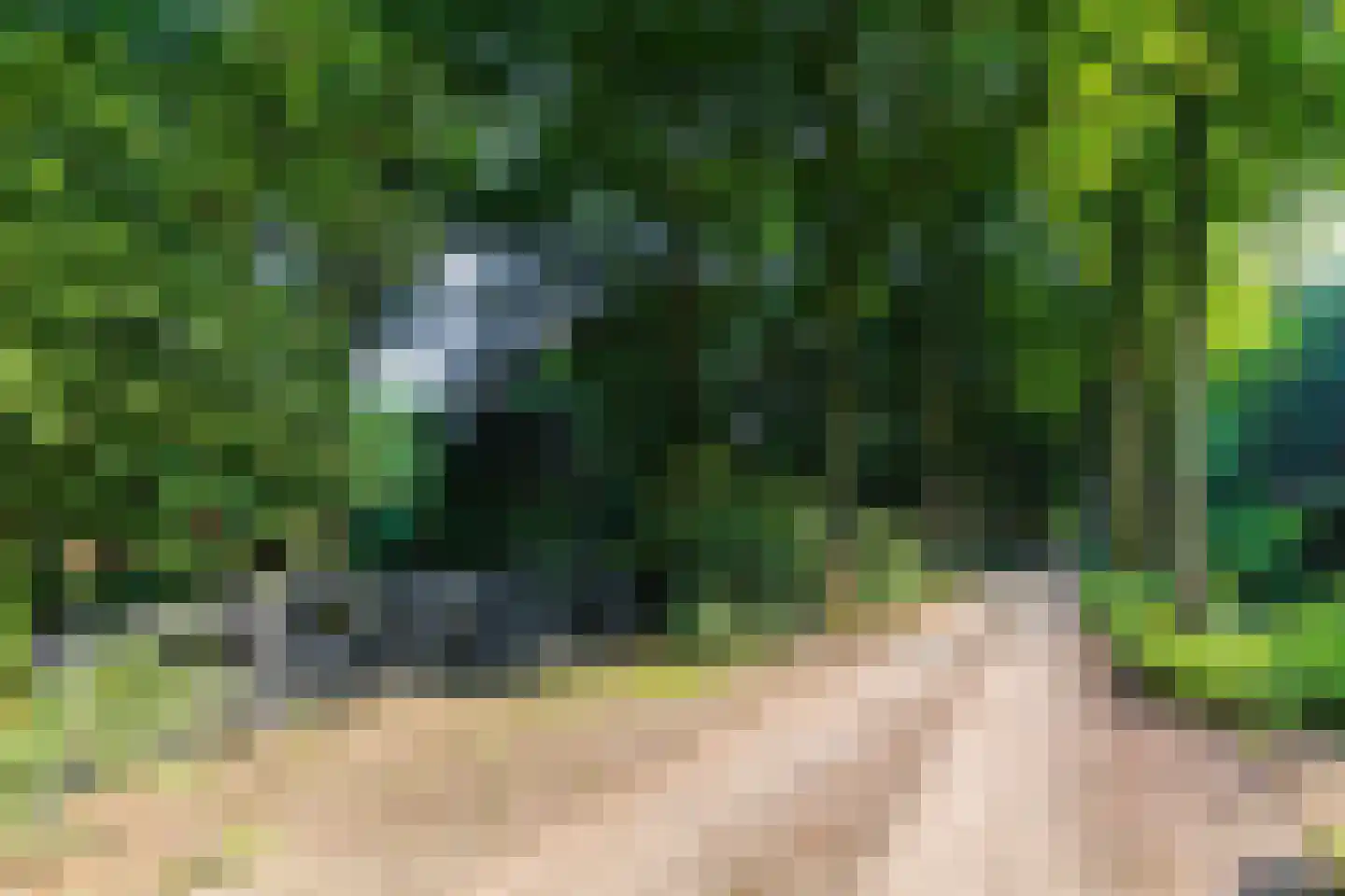 Russendaalweg 20 Langenboom thumbnail 19