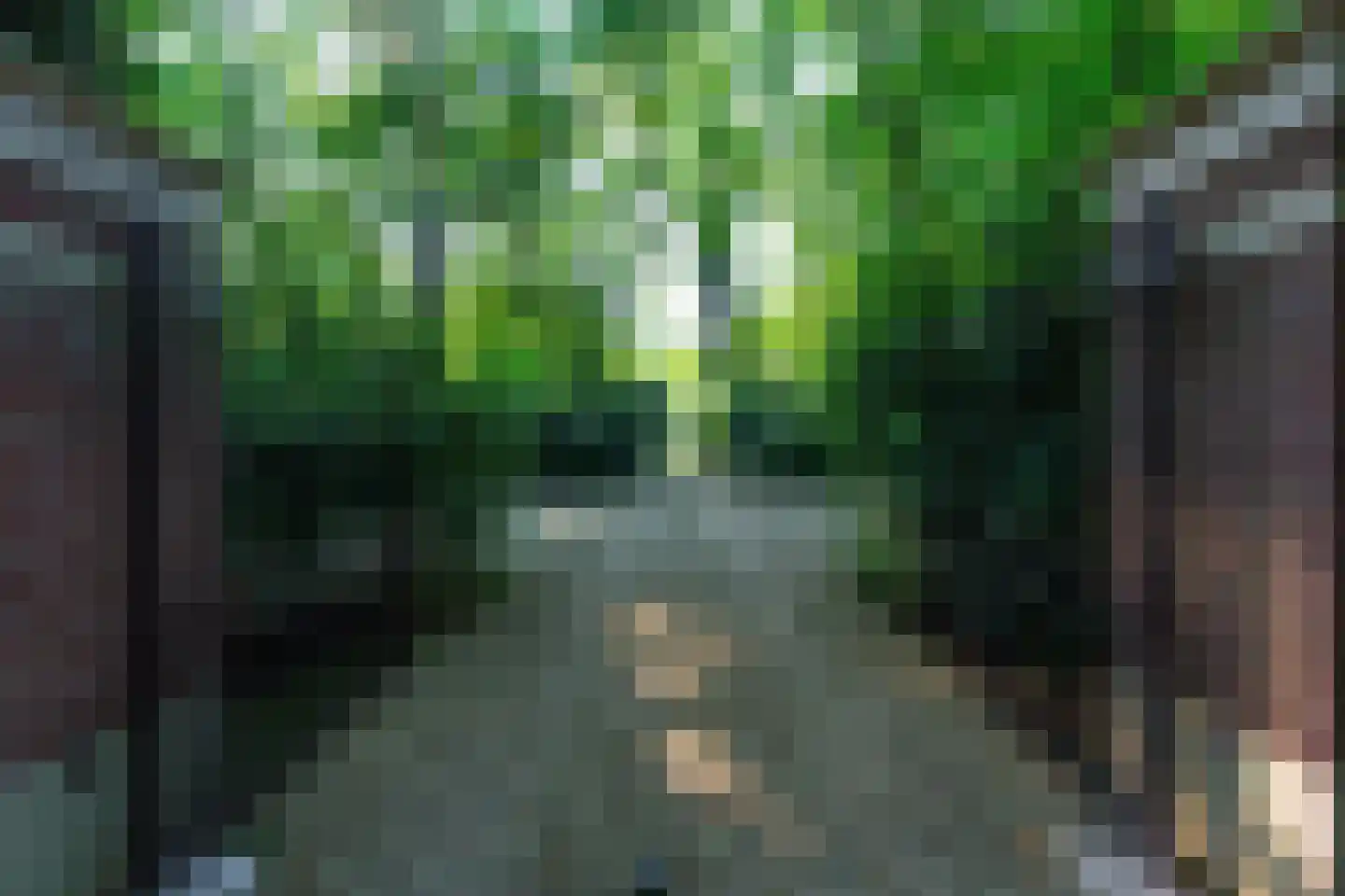 Russendaalweg 20 Langenboom thumbnail 22