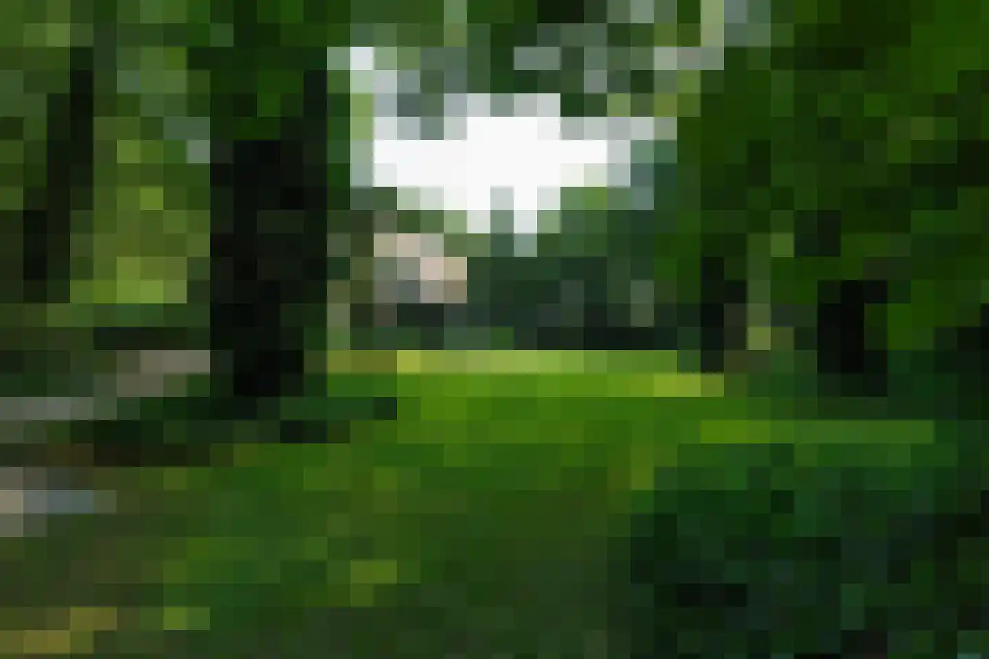 Russendaalweg 20 Langenboom thumbnail 23