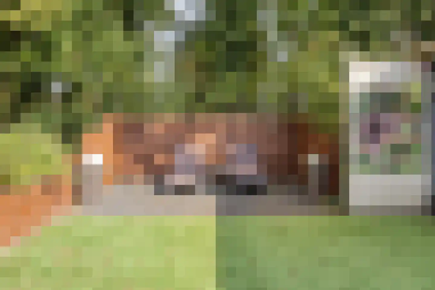Russendijk 2 Holten thumbnail 13