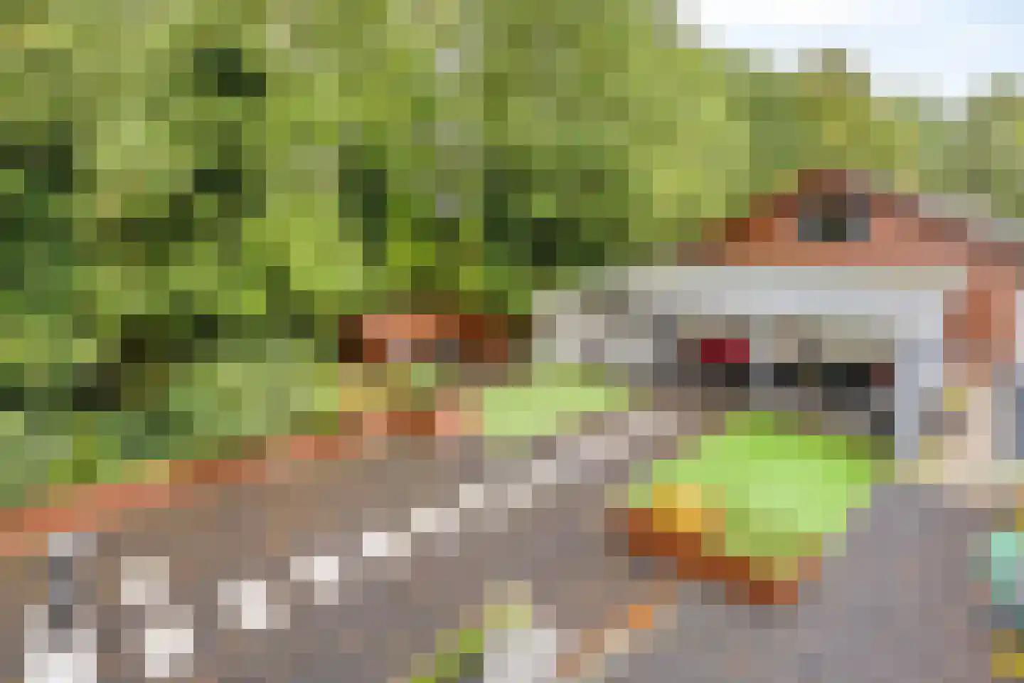 Russendijk 2 Holten thumbnail 19