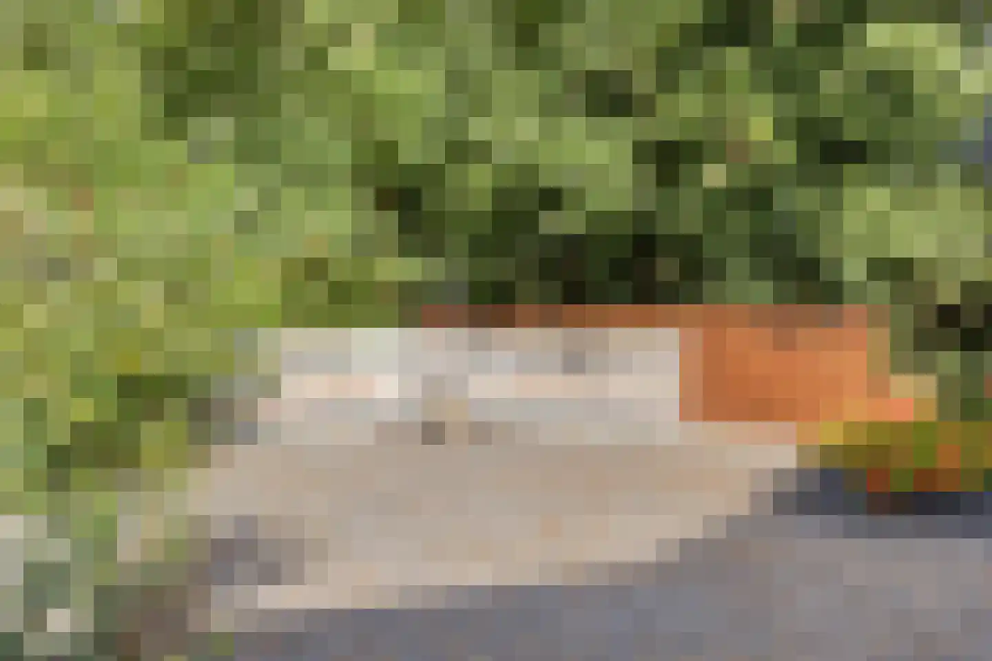 Russendijk 2 Holten thumbnail 20