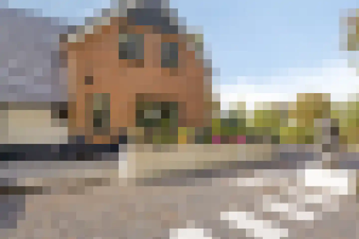 Russendijk 2 Holten thumbnail 24