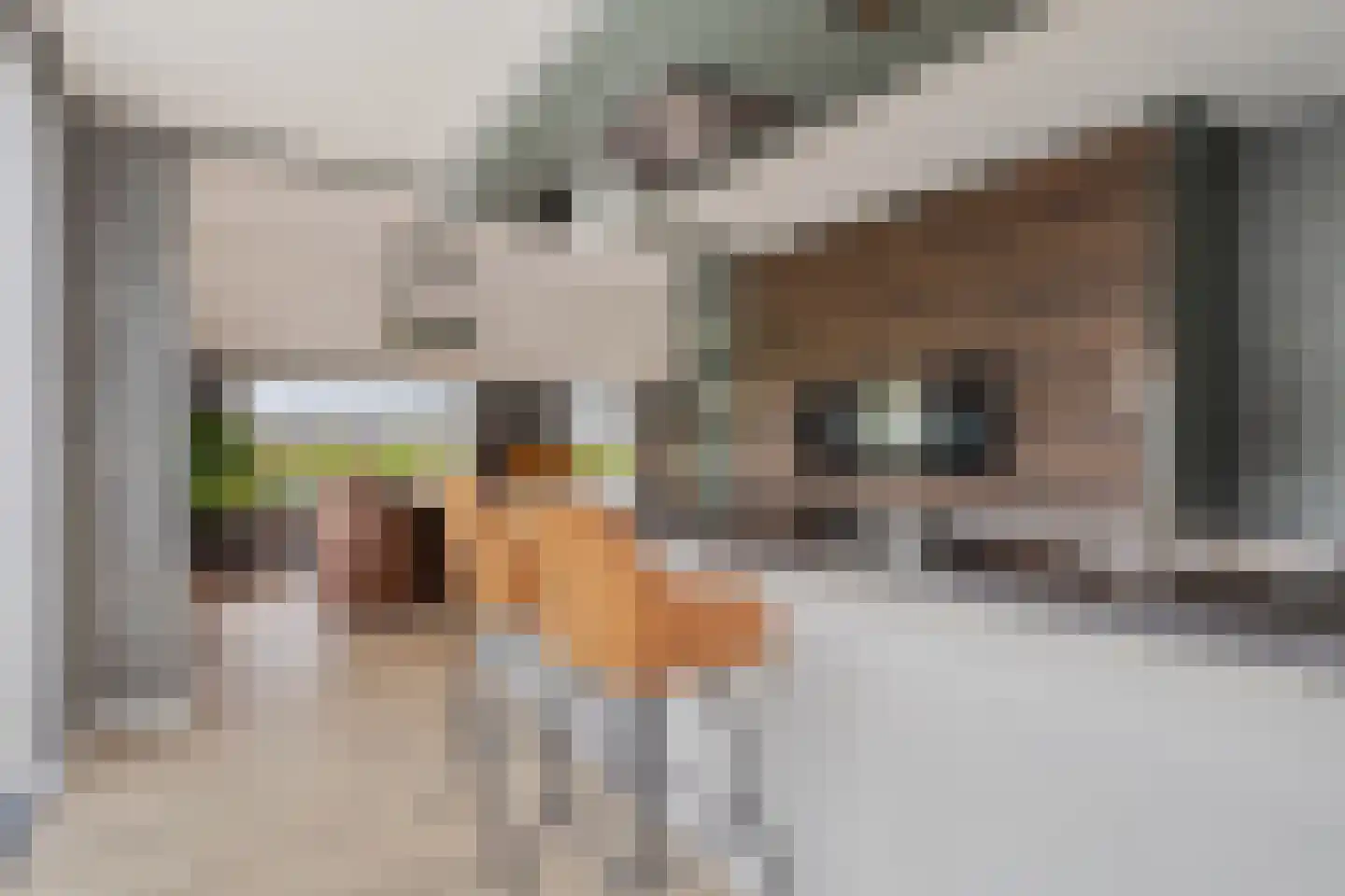 Russendijk 2 Holten thumbnail 41