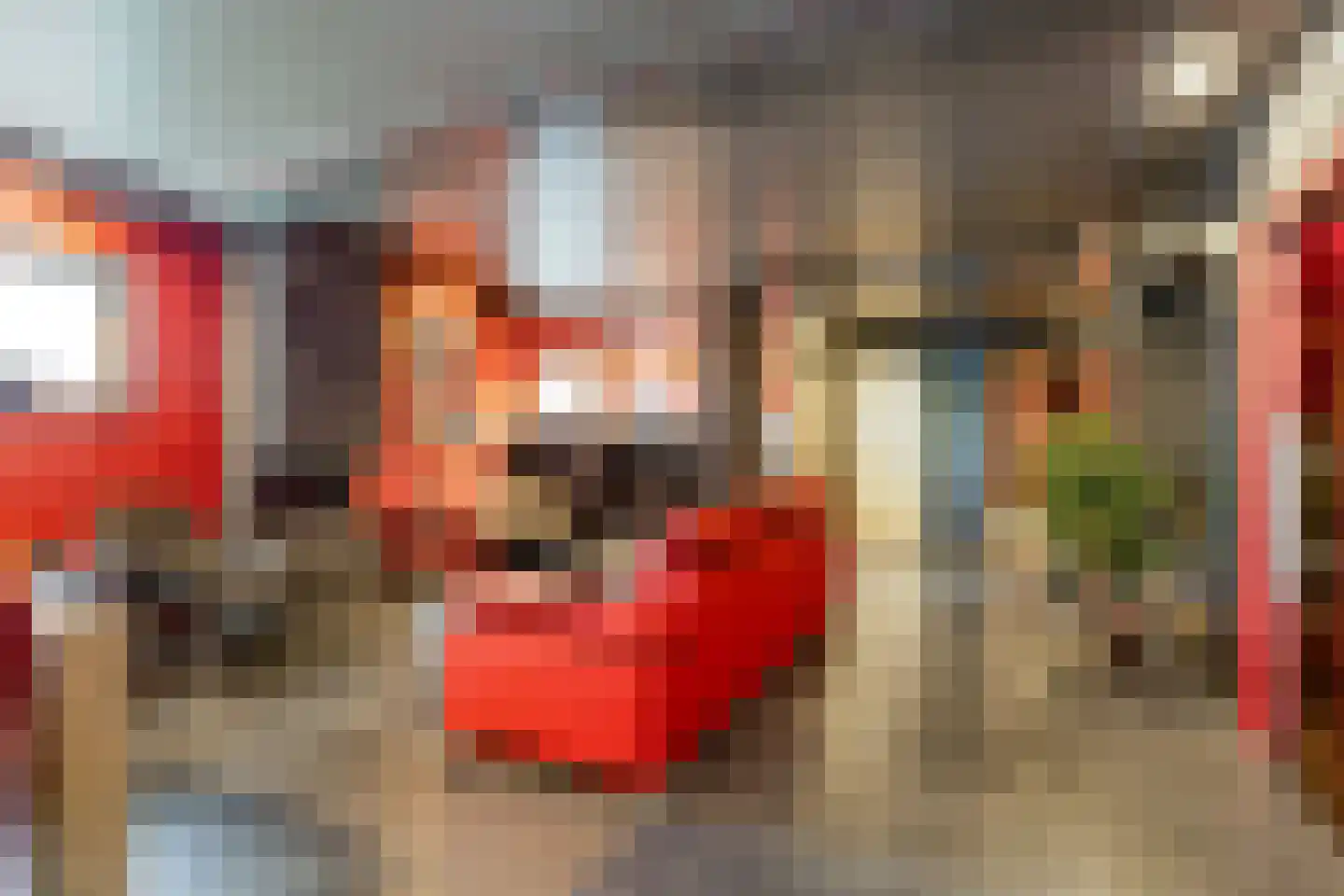 Russendijk 2 Holten thumbnail 73