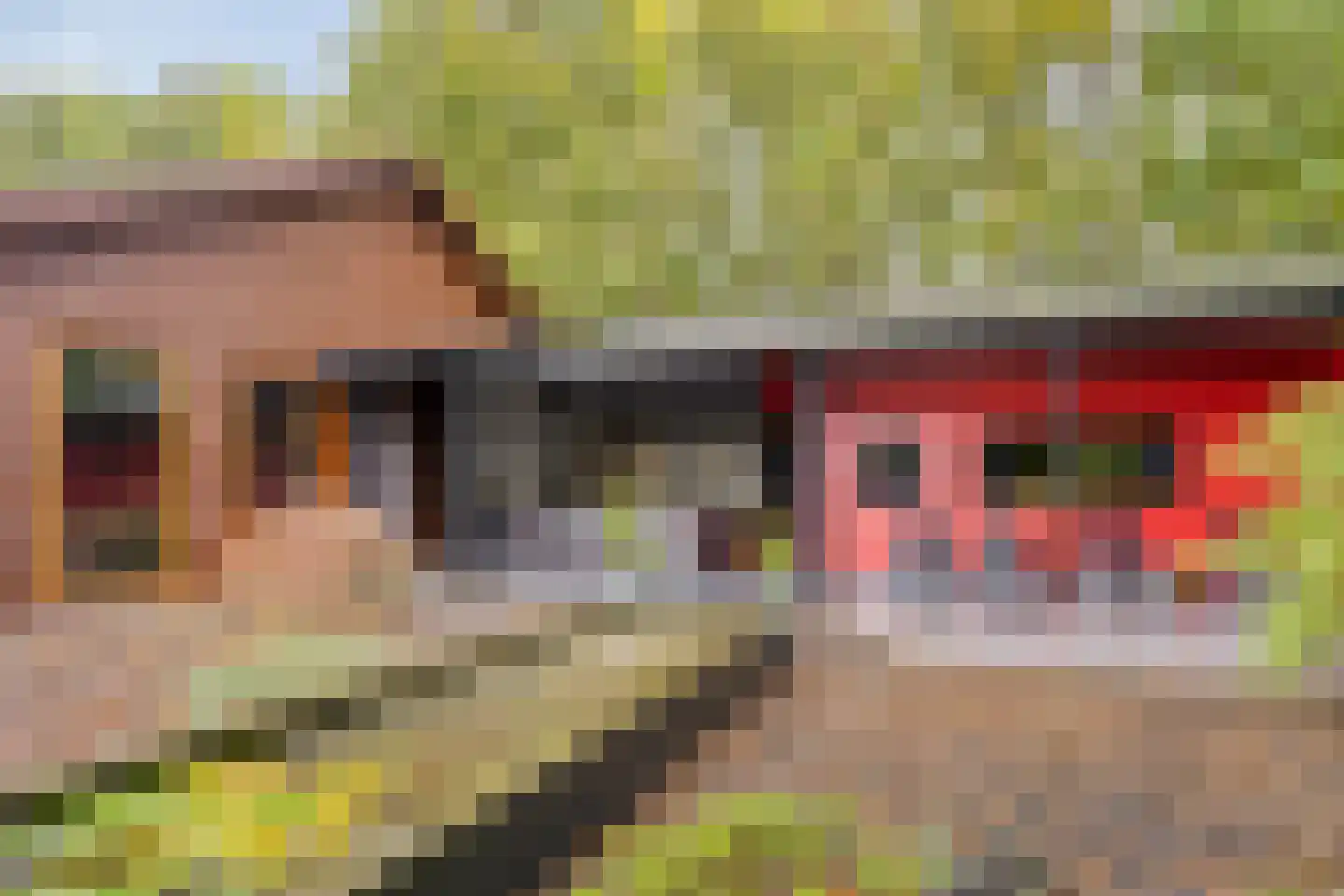 Russendijk 2 Holten thumbnail 93