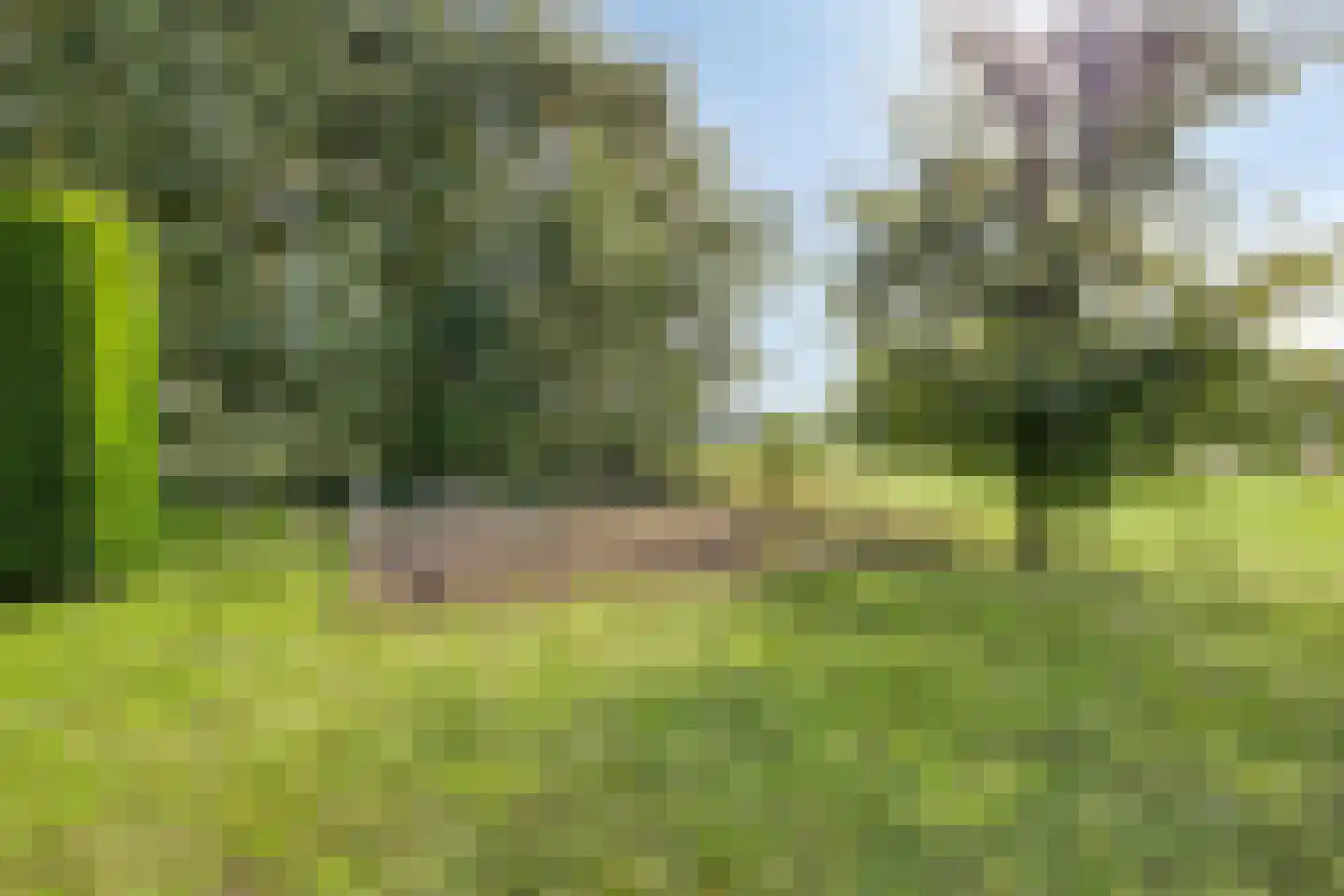Russendijk 2 Holten thumbnail 97