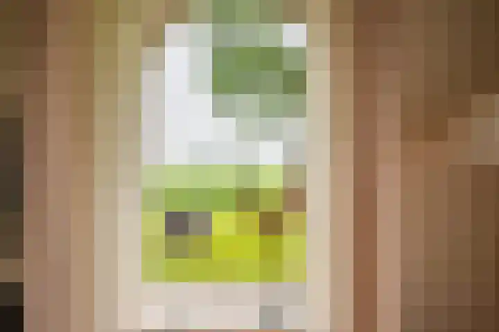 Russenmaat 4 Ruinen thumbnail 13