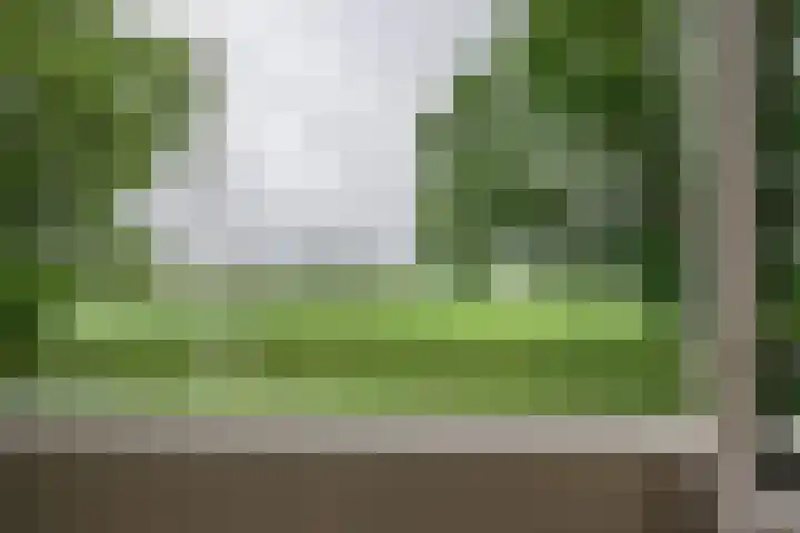 Russenmaat 4 Ruinen thumbnail 23