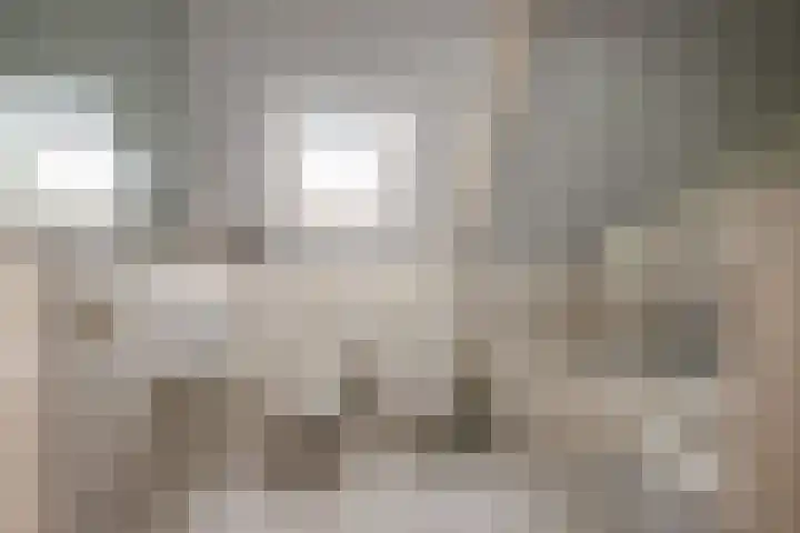 Russenmaat 4 Ruinen thumbnail 25