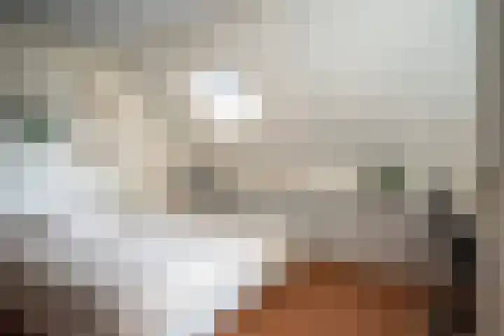 Russenmaat 4 Ruinen thumbnail 29