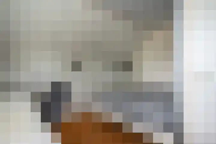 Russenmaat 4 Ruinen thumbnail 33