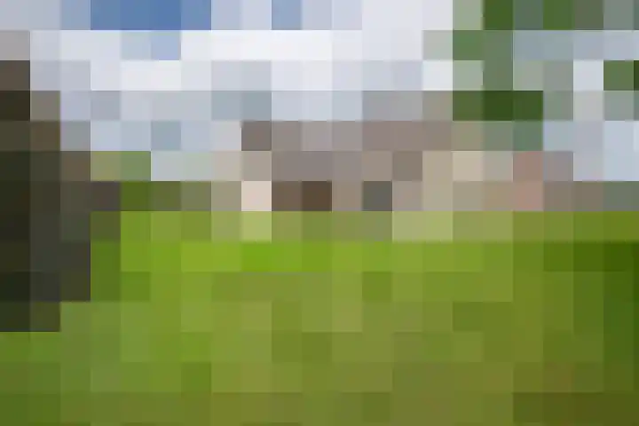 Russenmaat 4 Ruinen thumbnail 37