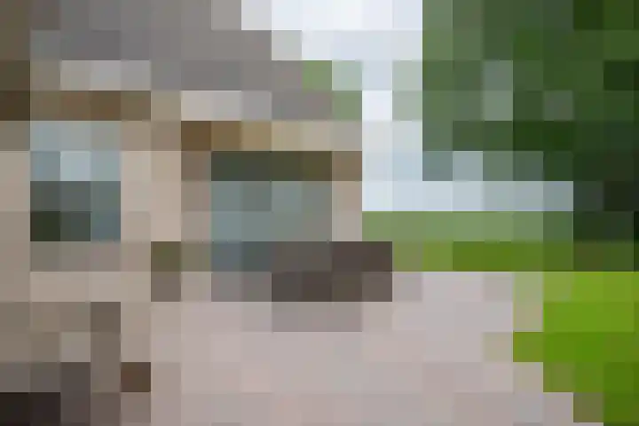 Russenmaat 4 Ruinen thumbnail 39