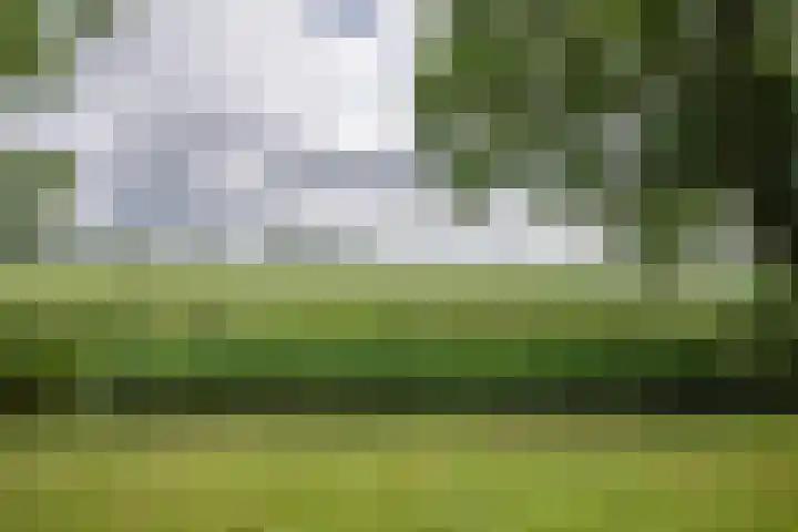 Russenmaat 4 Ruinen thumbnail 40
