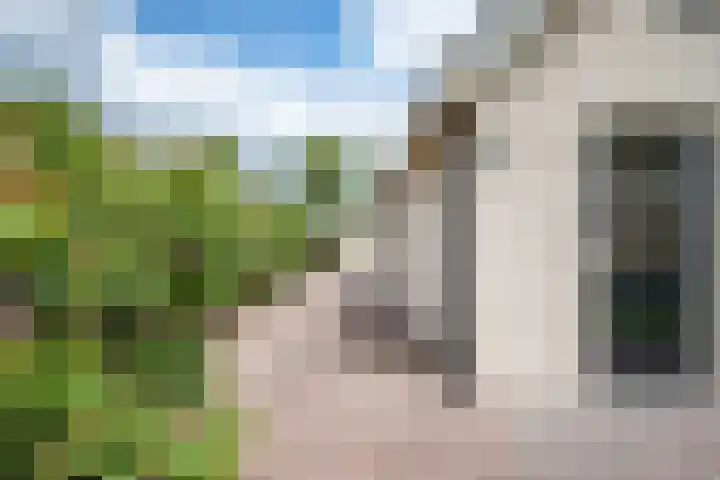 Russenmaat 4 Ruinen thumbnail 42
