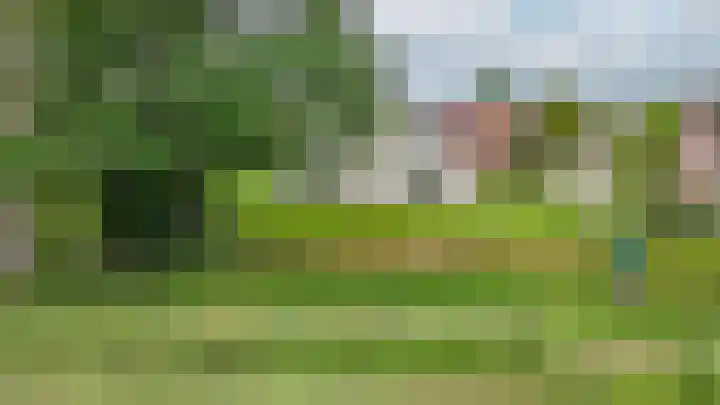 Russenmaat 4 Ruinen thumbnail 43