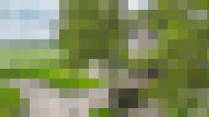 Russenmaat 4 Ruinen thumbnail 44