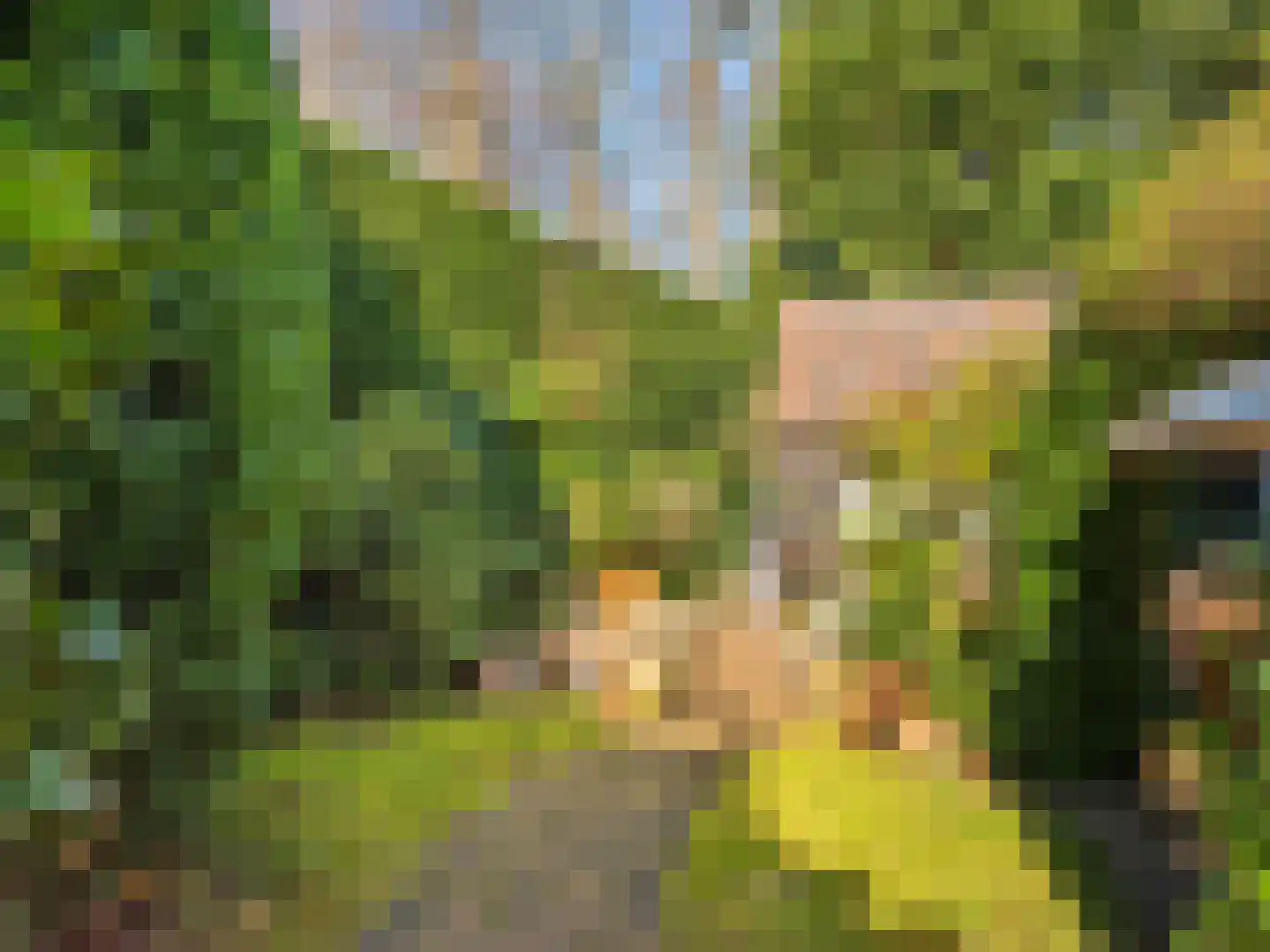 Russenweg 27 Bergen (NH) thumbnail 29
