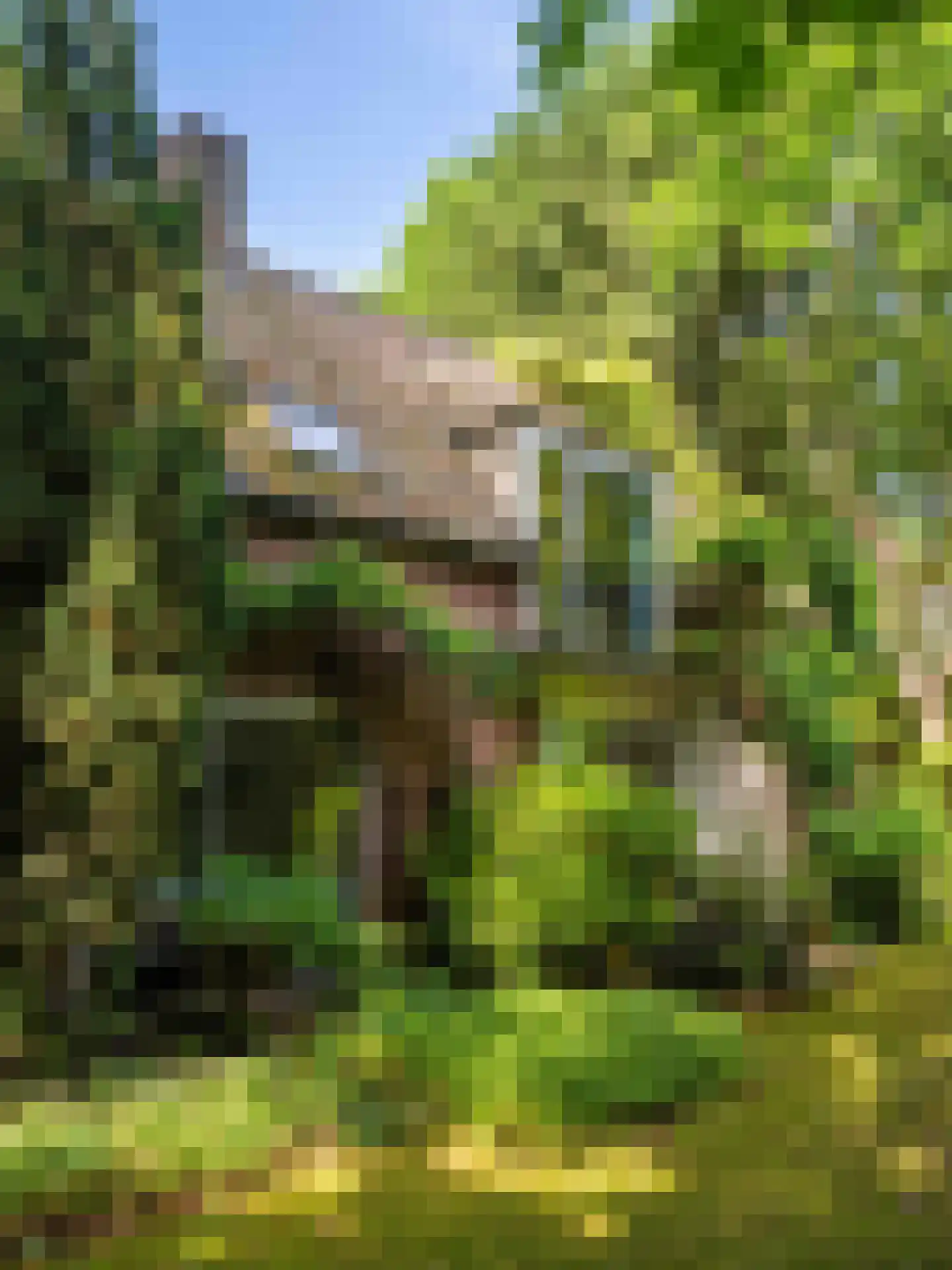 Russenweg 27 Bergen (NH) thumbnail 36