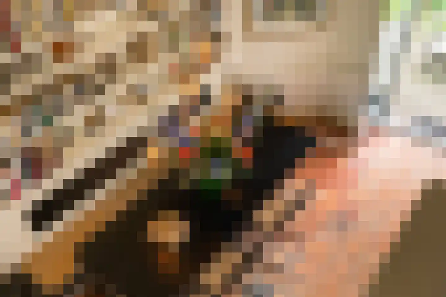 Rust en Vreugdlaan 1 A Wassenaar thumbnail 15