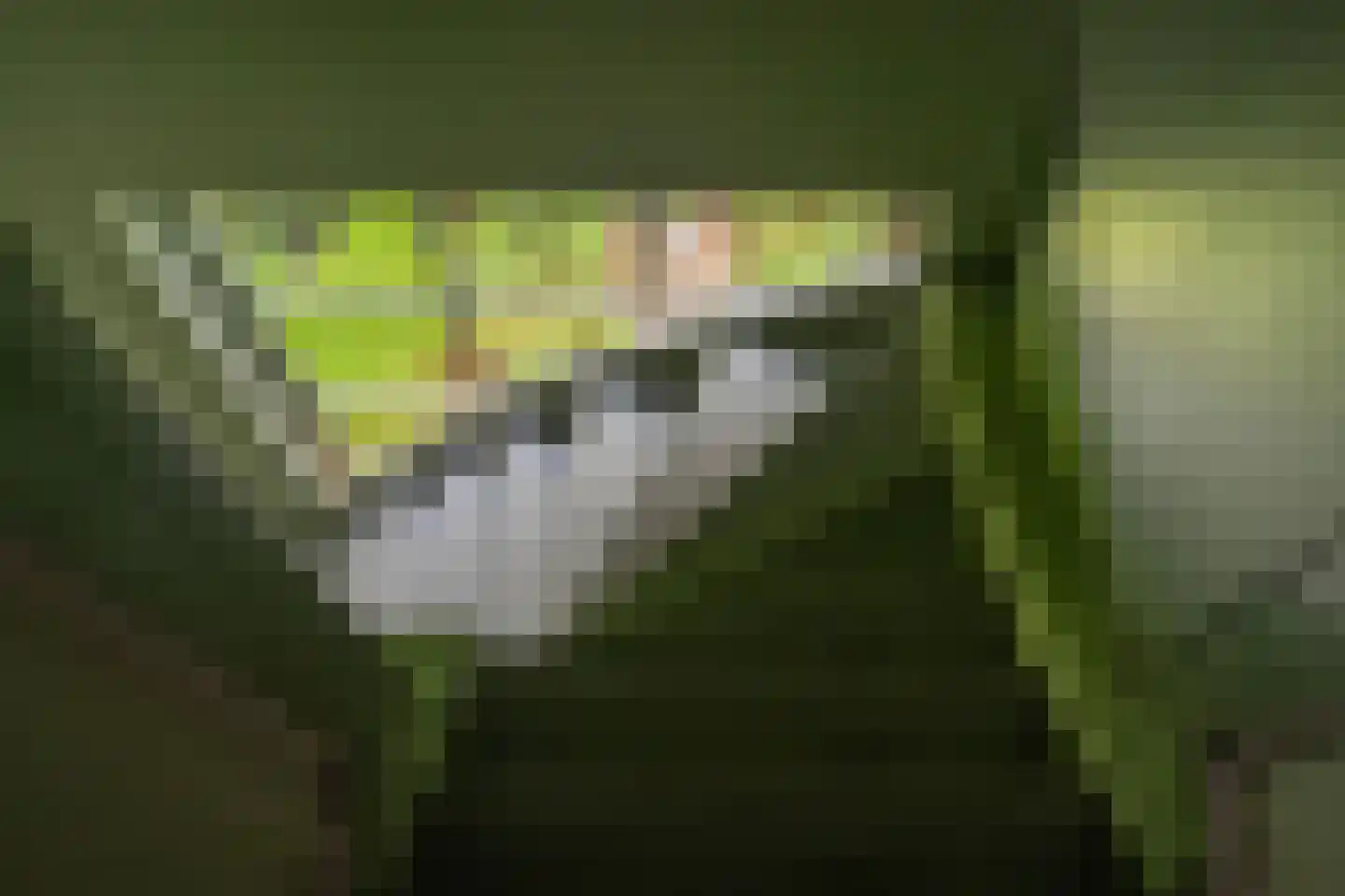 Rust en Vreugdlaan 1 A Wassenaar thumbnail 22