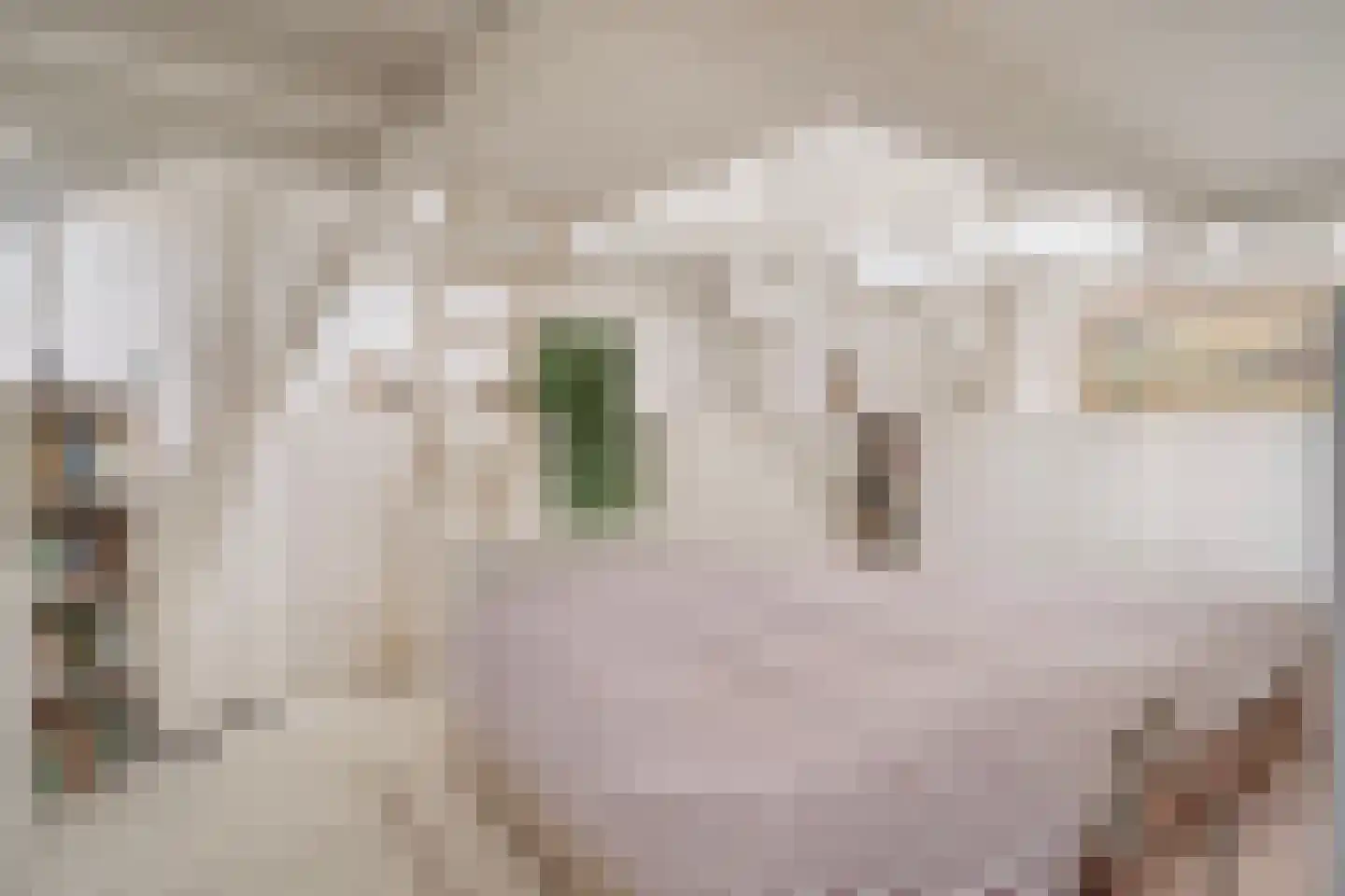 Rust en Vreugdlaan 1 A Wassenaar thumbnail 31
